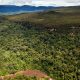 Penentuan Kebutuhan Hutan Tetap Lestari Untuk Mendukung Pencapaian SDG’s