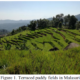 The Role of Terraced Paddy Fields and Its Critical Issues in Sustaining a Mountainous Tropical Monsoon Rural Community: Case Study of Malasari Village, Bogor Regency, Indonesia