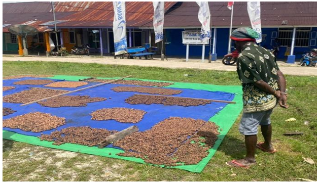 Penyusunan Masterplan Kota Satelit Bomakia, Kabupaten Boven Digoel, Papua