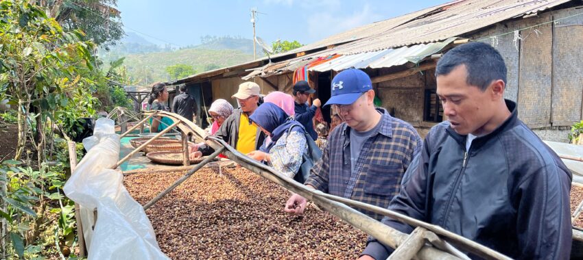 Dosen Mengabdi IPB: Tingkatkan Produktivitas dan Kualitas Kopi Melalui Inovasi Teknologi Pascapanen di Kawasan Puncak