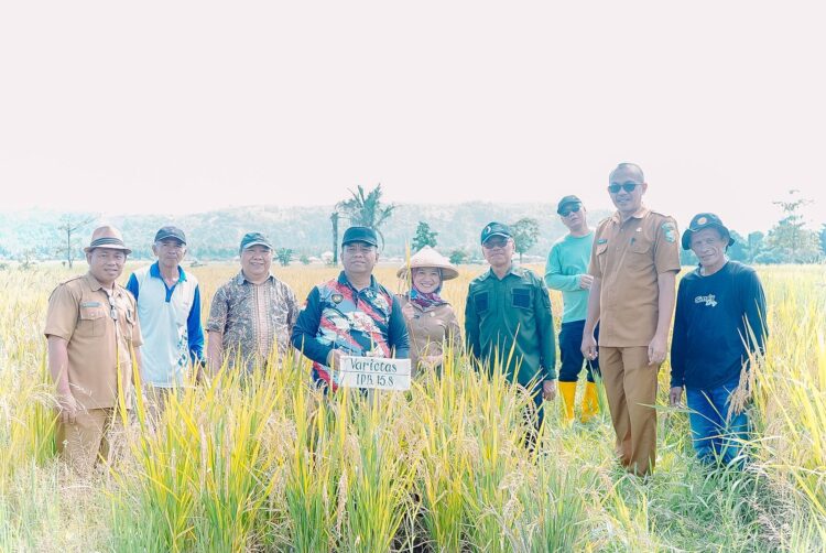 Kajian Potensi dan Perwilayahan Komoditas Pertanian di Kabupaten Bolaang Mongondow Utara