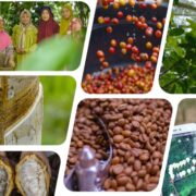 Study on EUDR Legality Requirements in The Context of Indonesia