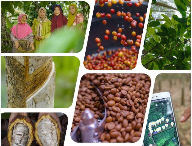 Study on EUDR Legality Requirements in The Context of Indonesia