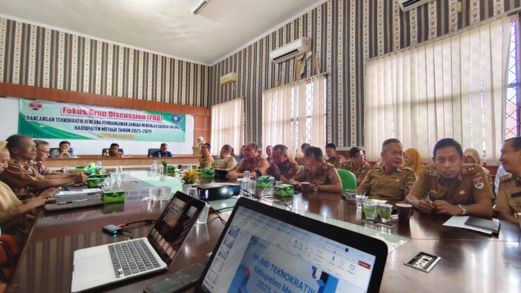 Rancangan Teknokratik Rencana Pembangunan Jangka Menengah Daerah (RPJMD) Kabupaten Mesuji Tahun 2025-2029